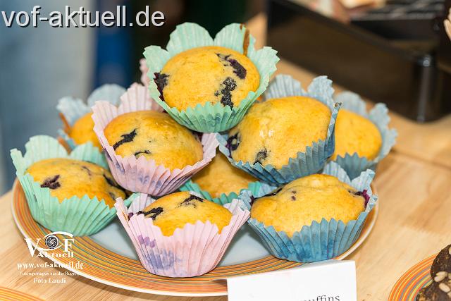 Foto Laudi_Ergo_VOF-27.jpg